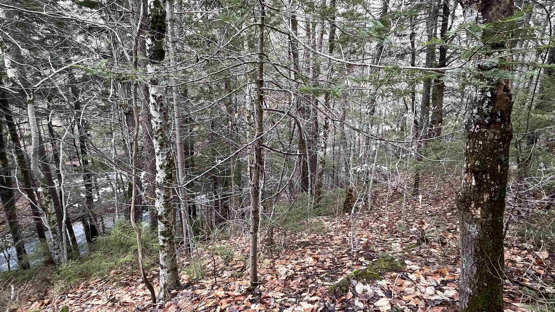 0 Route 155 Weston VT 05161