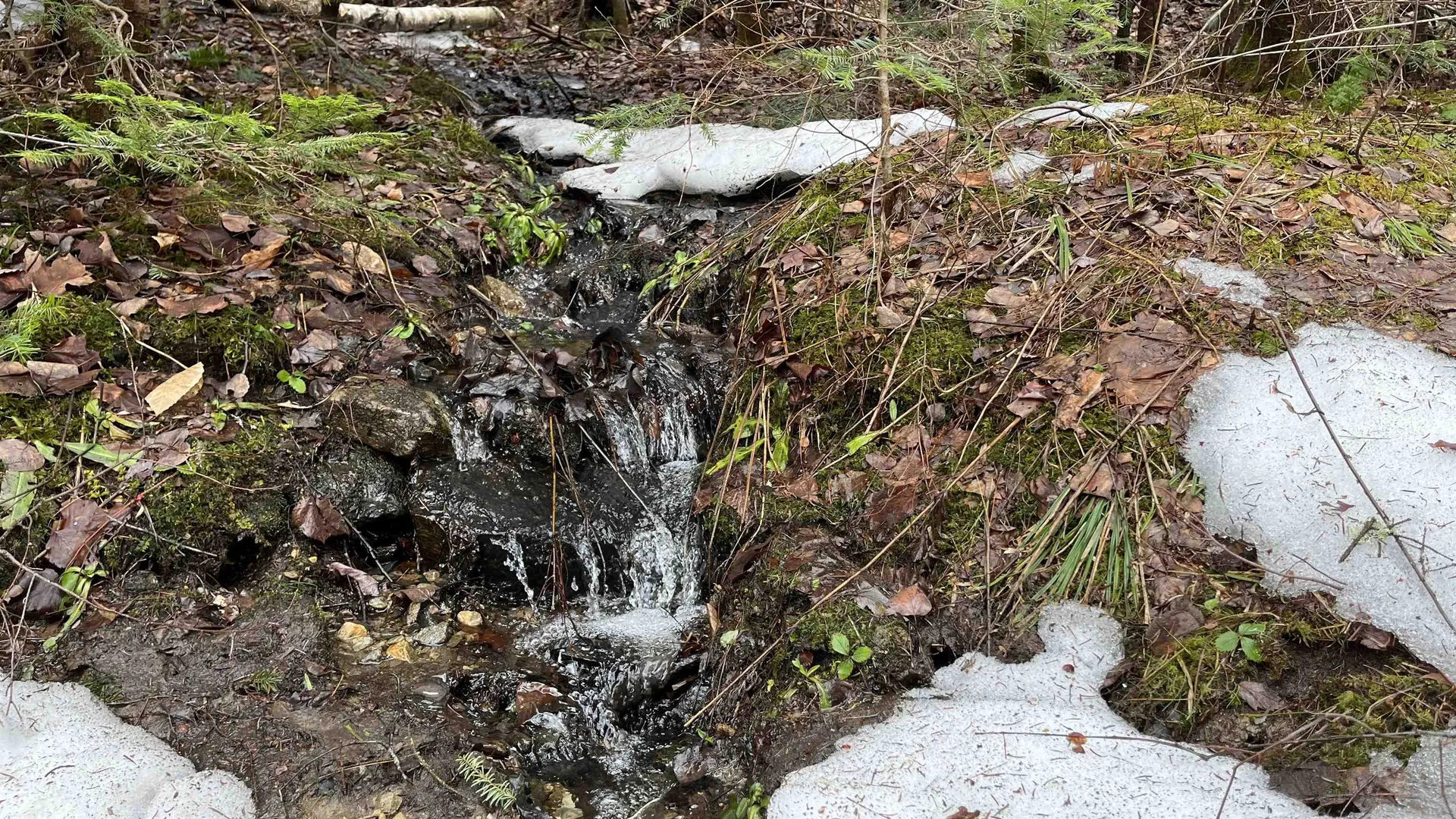 0 Route 155 Weston VT 05161