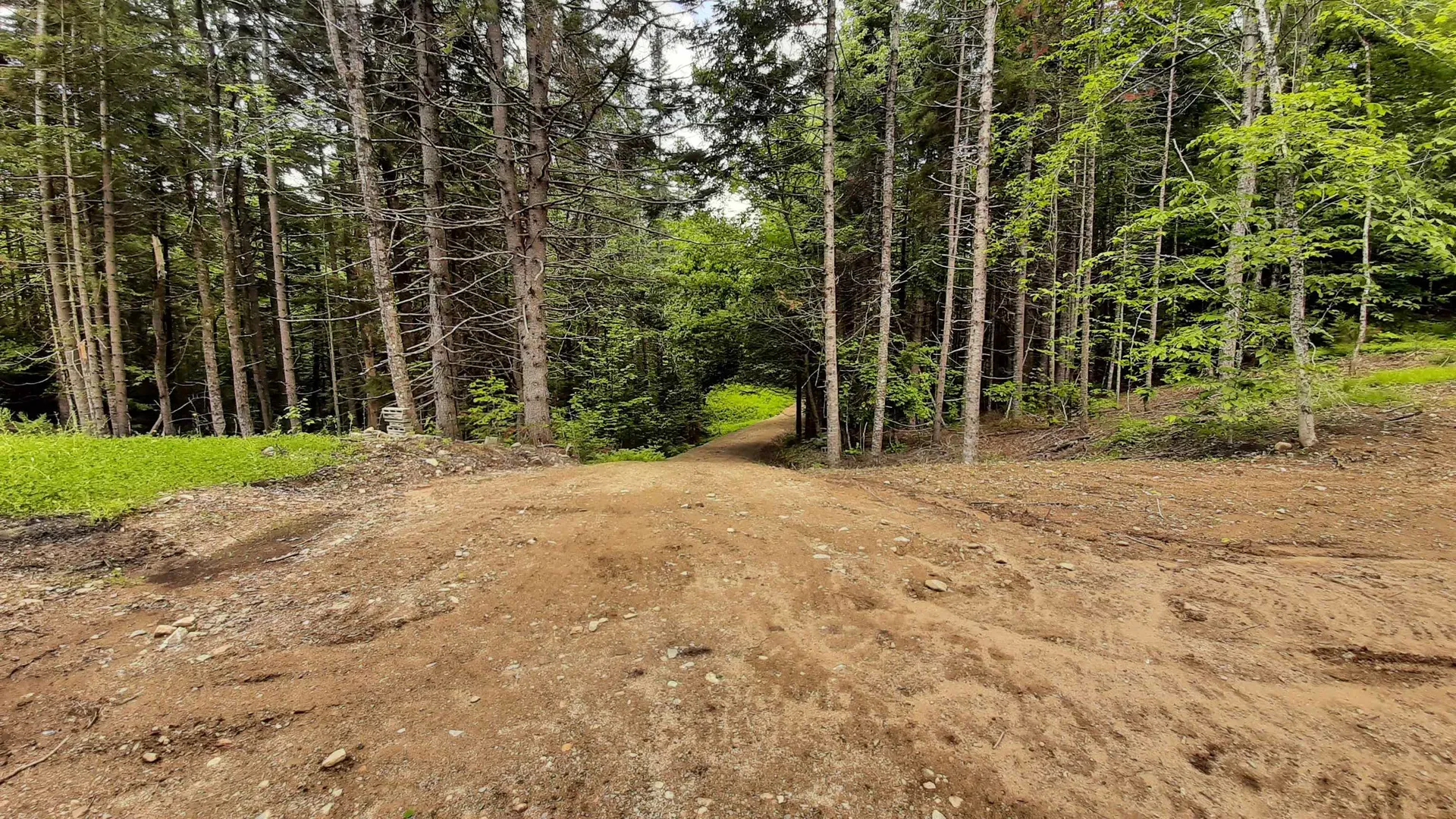 0 Route 155 Weston VT 05161