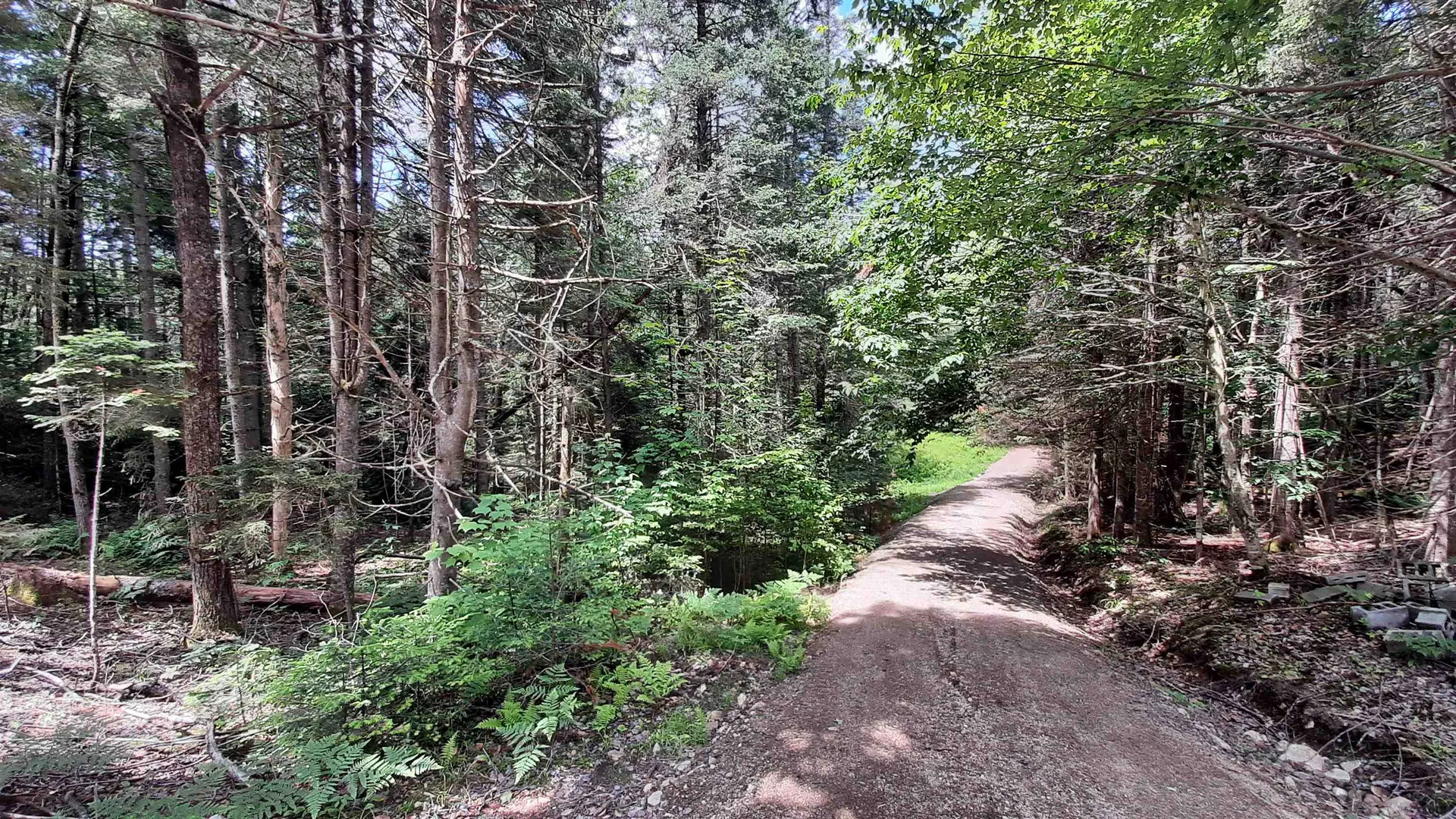 0 Route 155 Weston VT 05161