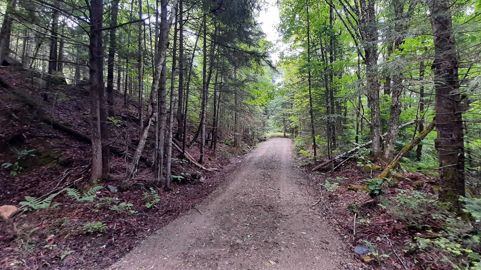 0 Route 155 Weston VT 05161