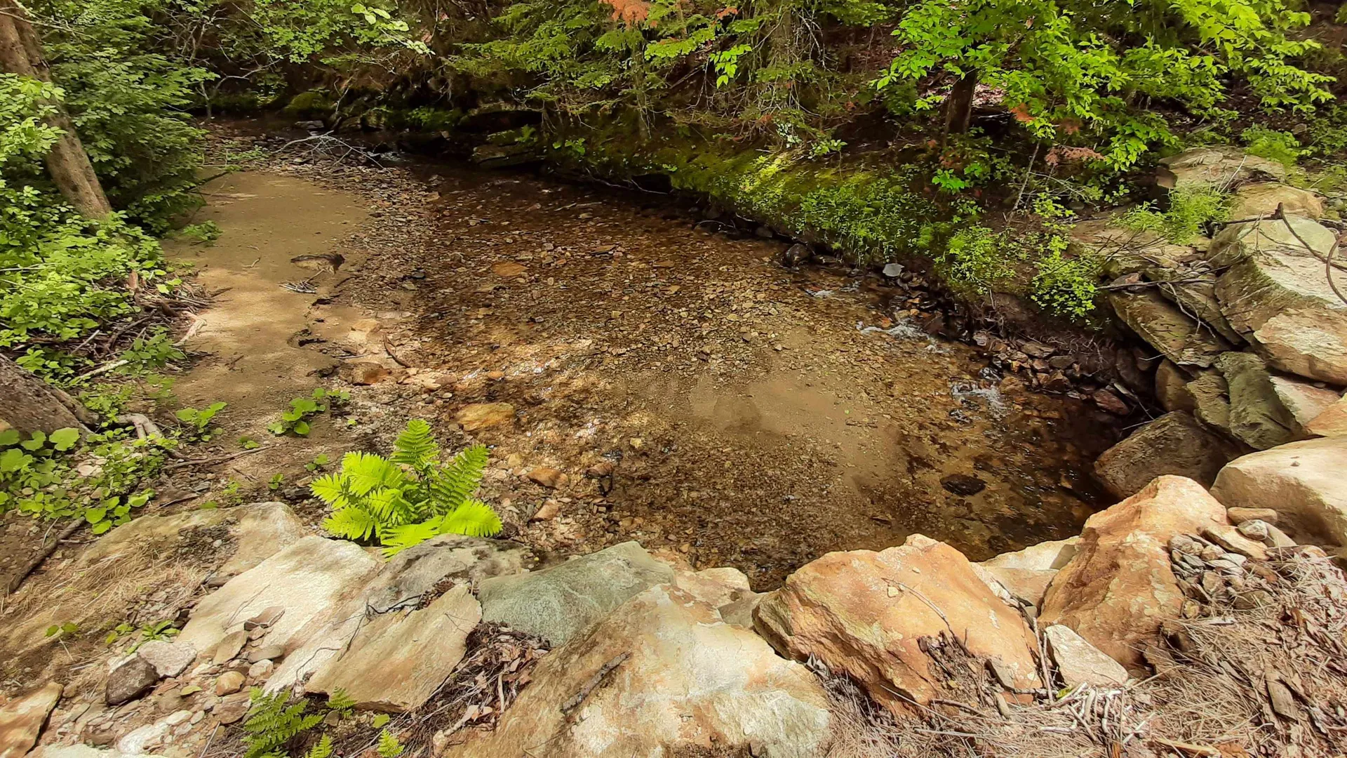 0 Route 155 Weston VT 05161