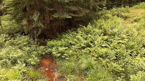 0 Route 155 Weston VT 05161