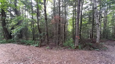 0 Route 155 Weston VT 05161