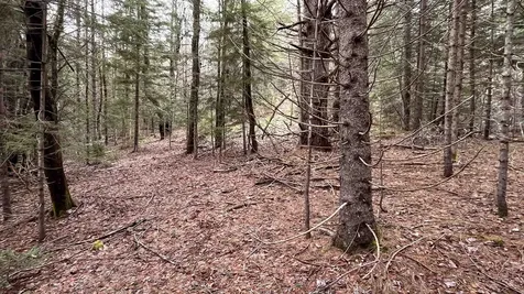 0 Route 155 Weston VT 05161