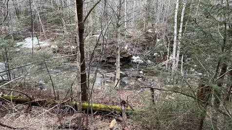 0 Route 155 Weston VT 05161