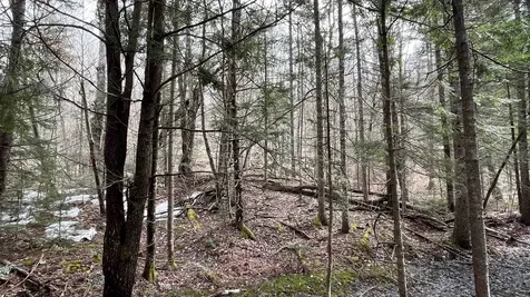 0 Route 155 Weston VT 05161