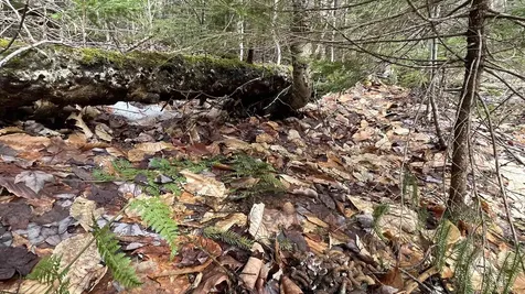 0 Route 155 Weston VT 05161