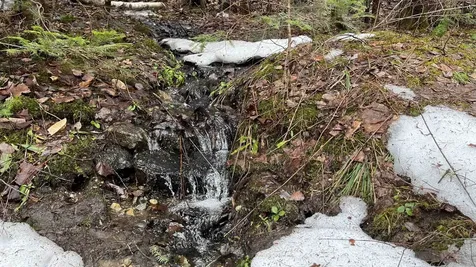 0 Route 155 Weston VT 05161