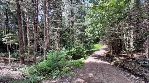 0 Route 155 Weston VT 05161