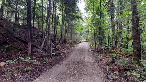 0 Route 155 Weston VT 05161
