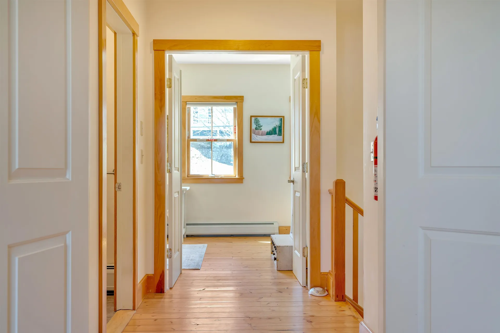 20 Lincoln Street Woodstock VT 05091