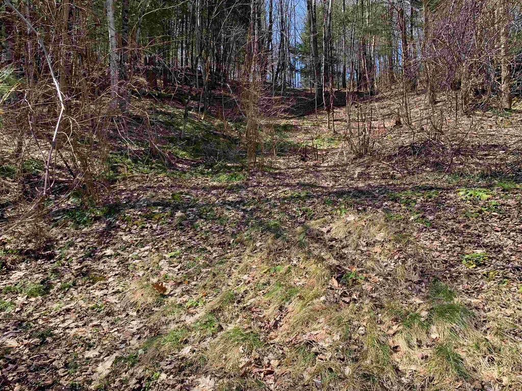1906 South Road Woodstock VT 05091