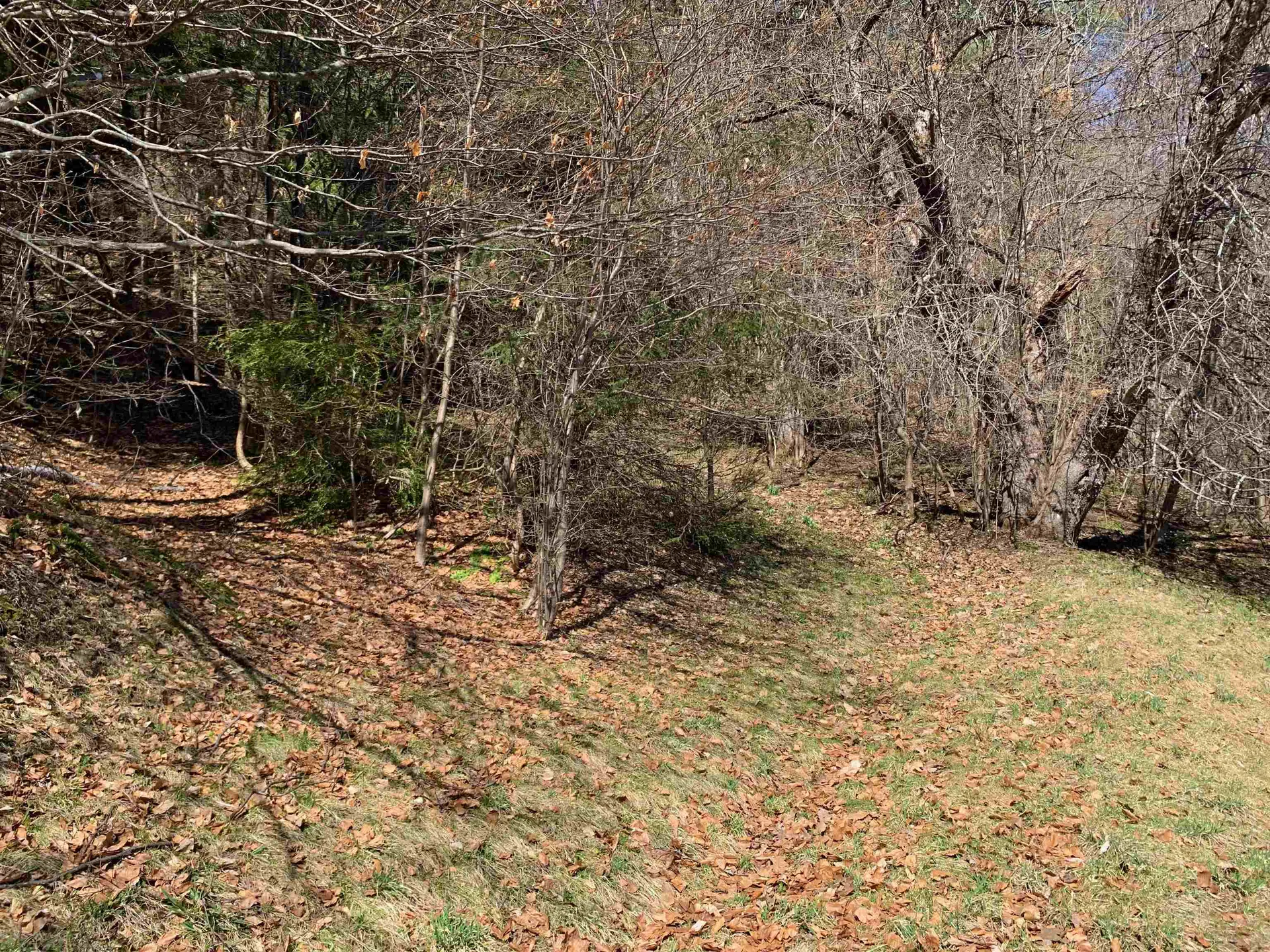 1906 South Road Woodstock VT 05091