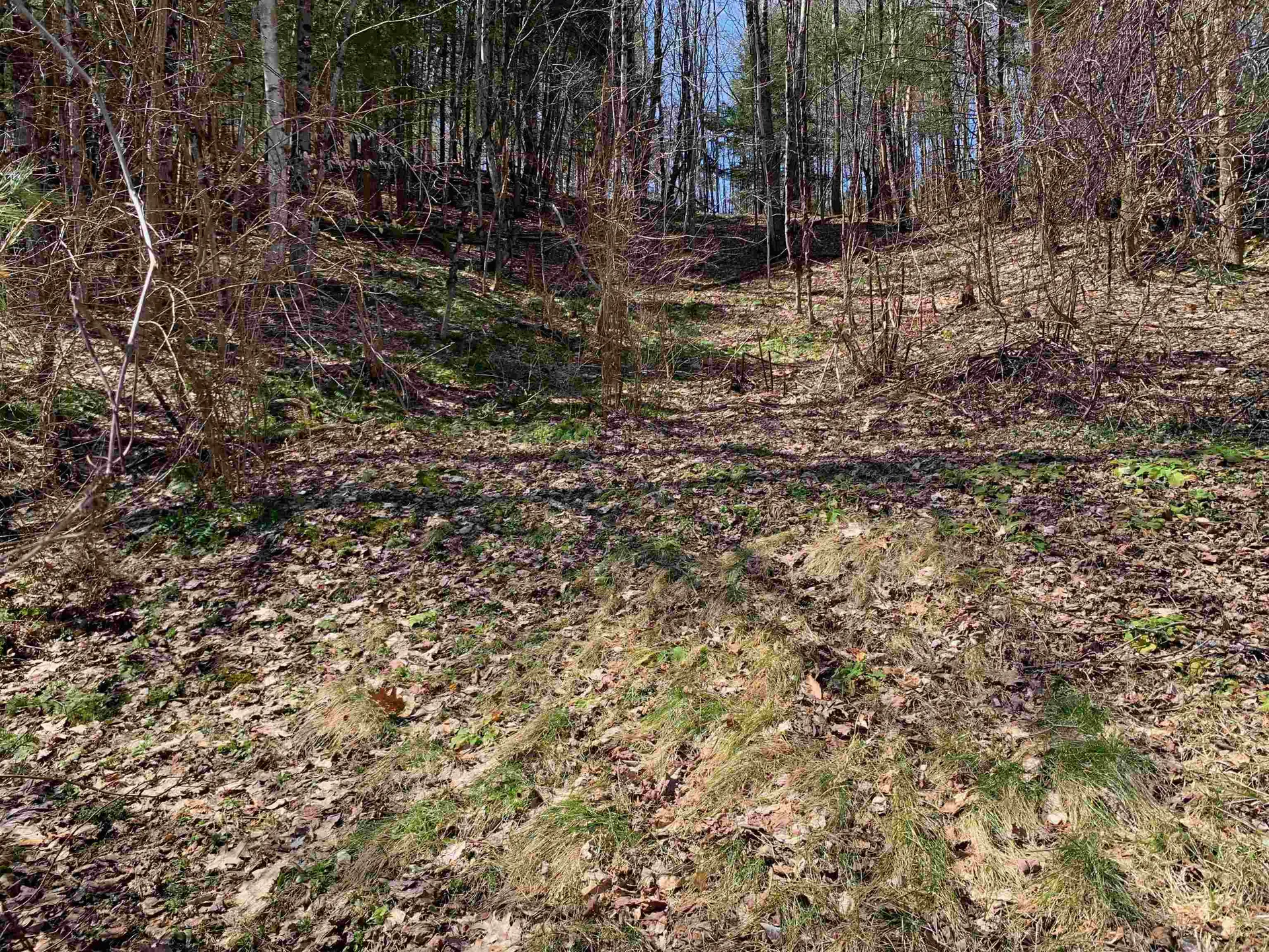 1906 South Road Woodstock VT 05091