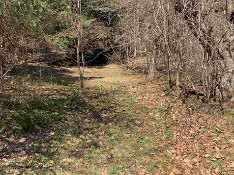 1906 South Road Woodstock VT 05091