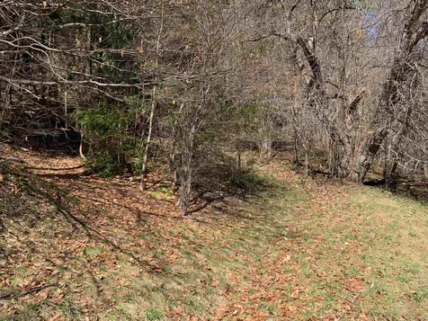 1906 South Road Woodstock VT 05091