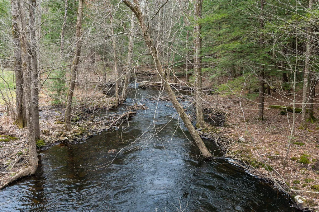 16 Harvard Lane Bedford NH 03110