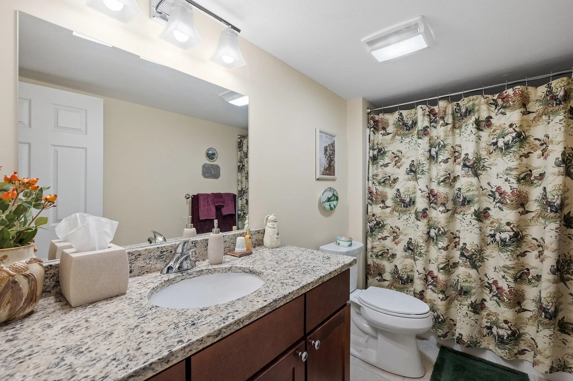 12 Pine Bluff Terrace Lincoln NH 03251