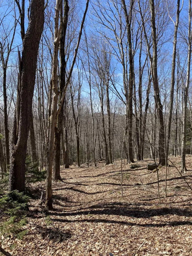 Lot 2 Mann Road Wilmington VT 05363