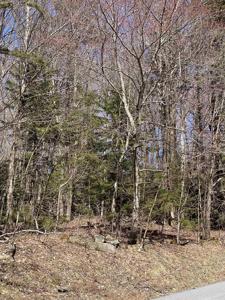 Lot 2 Mann Road Wilmington VT 05363
