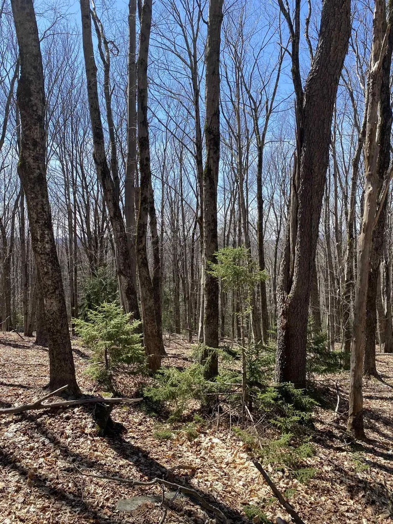 Lot 2 Mann Road Wilmington VT 05363