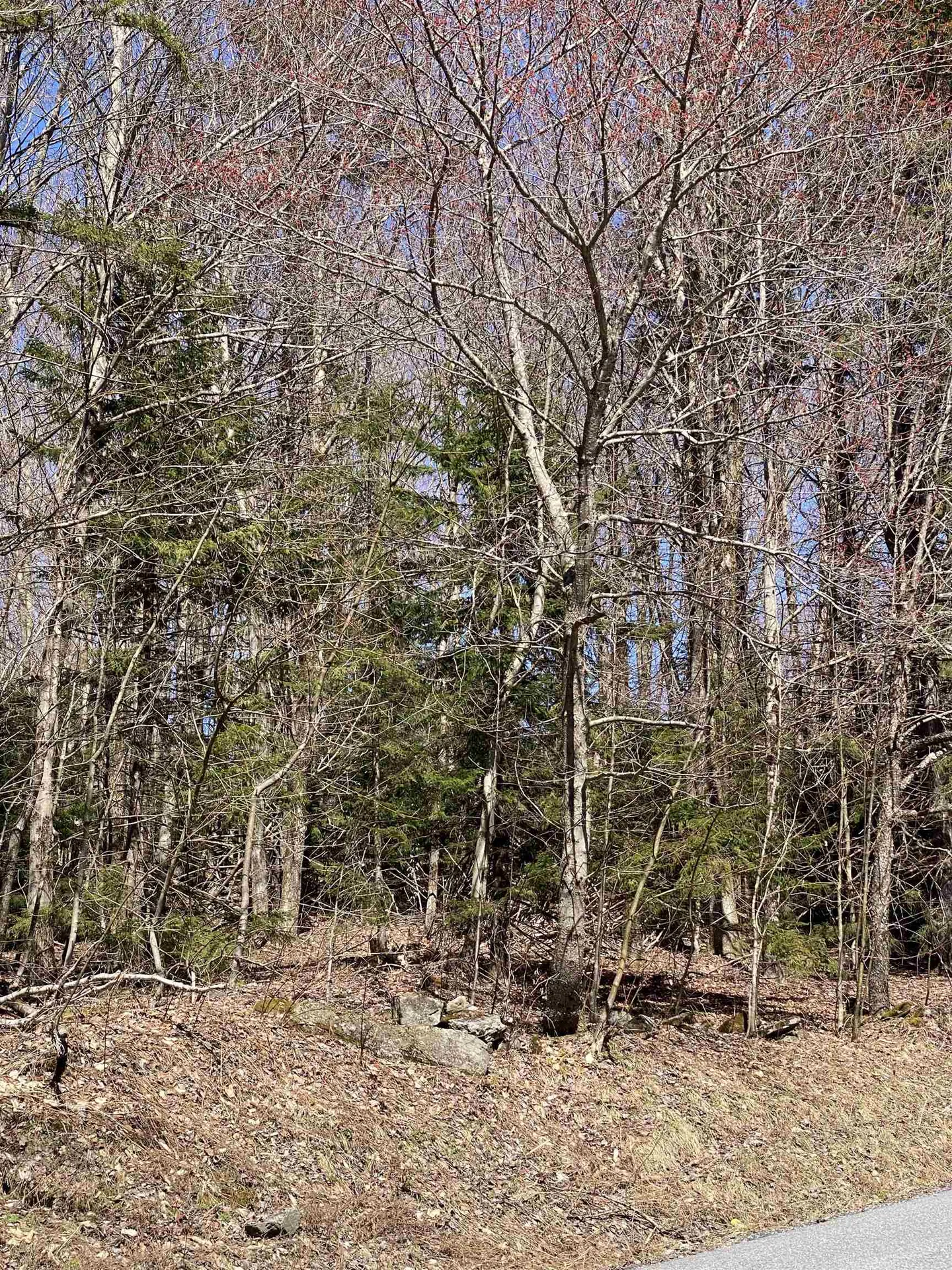 Lot 2 Mann Road Wilmington VT 05363