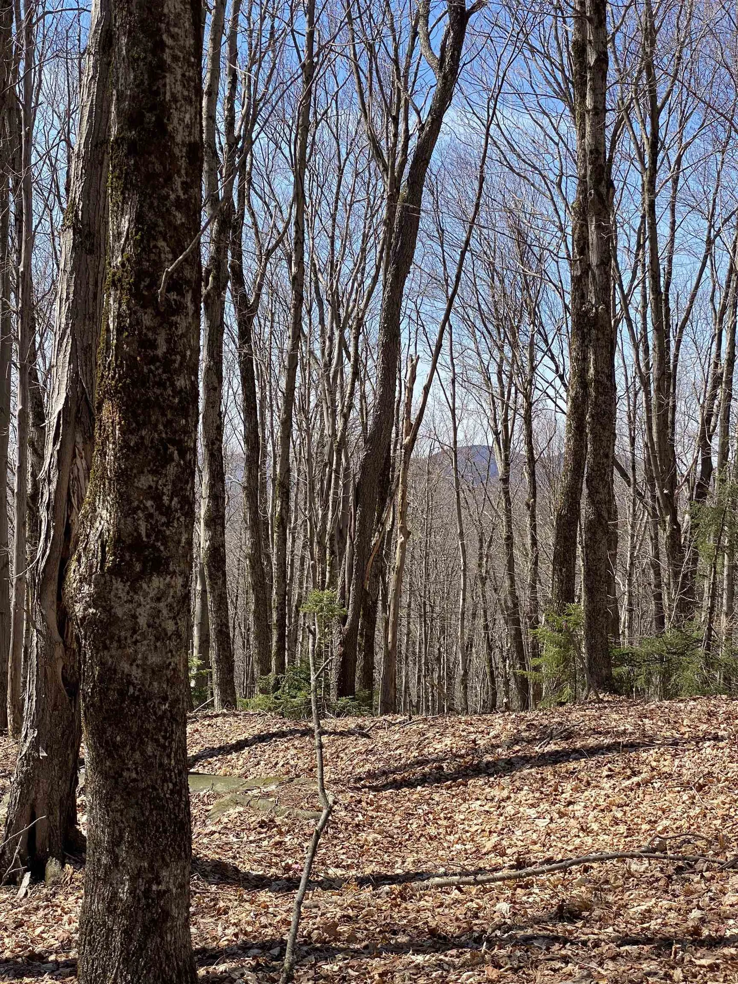 Lot 2 Mann Road Wilmington VT 05363