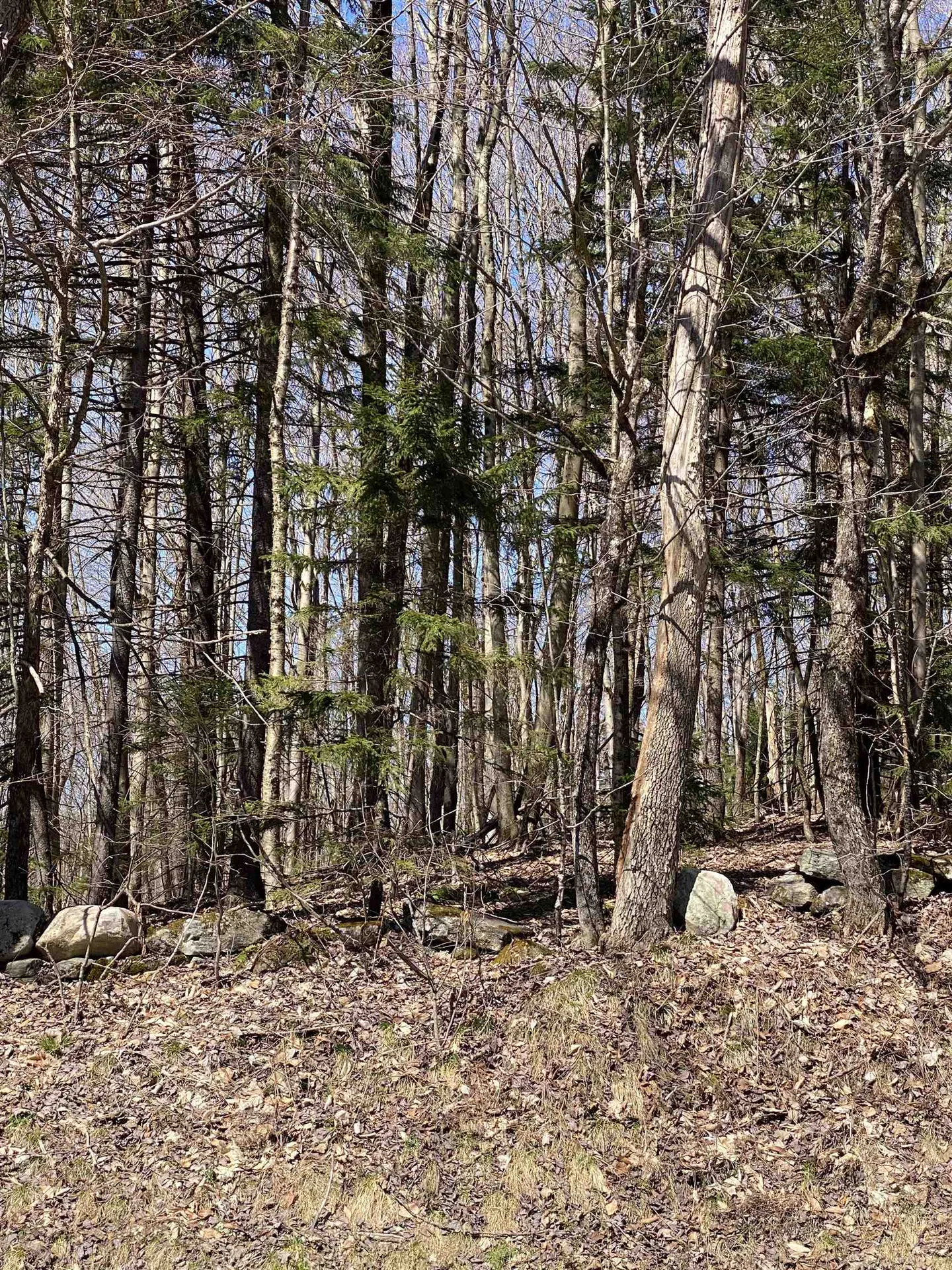 Lot 2 Mann Road Wilmington VT 05363