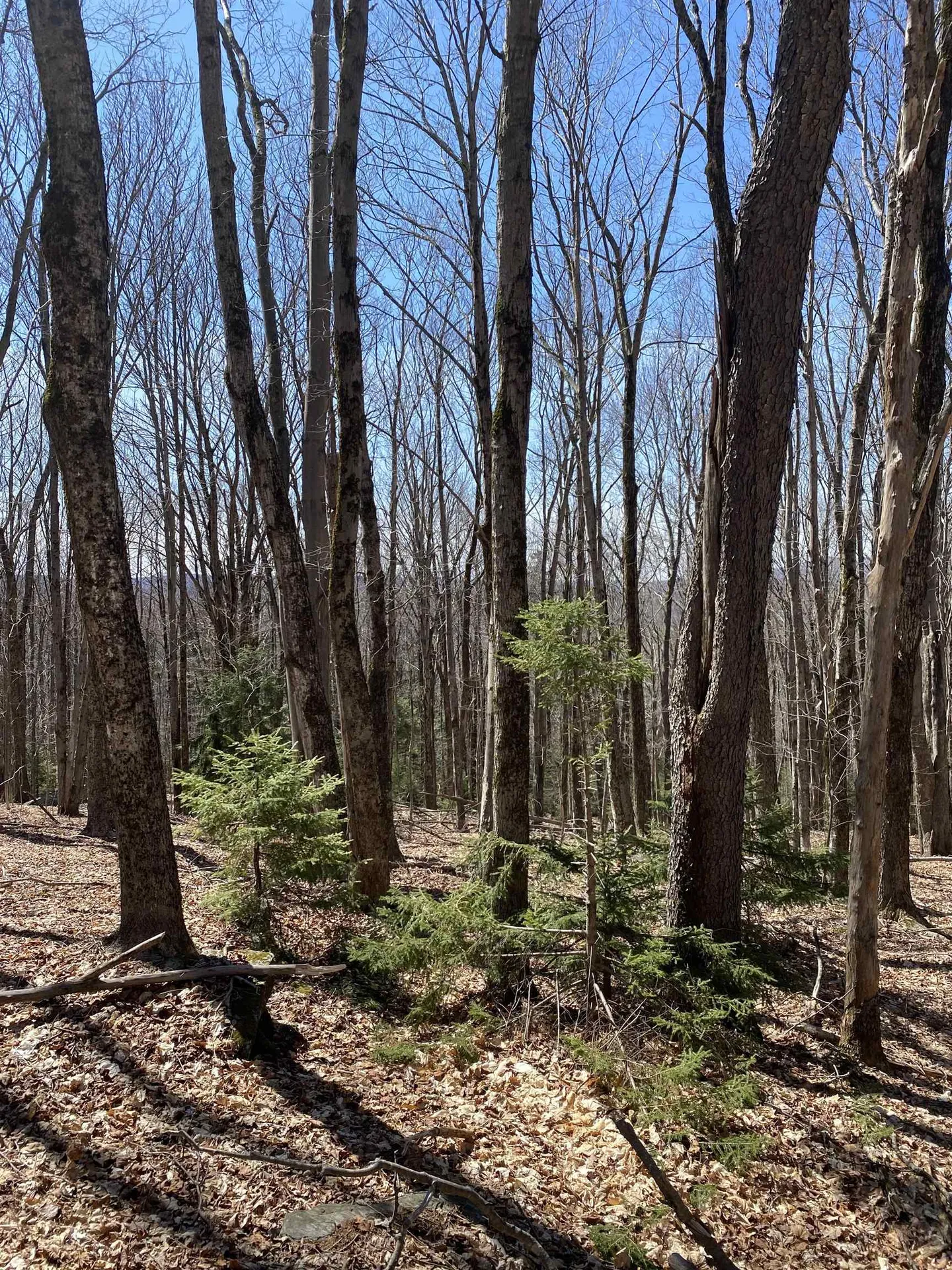 Lot 2 Mann Road Wilmington VT 05363
