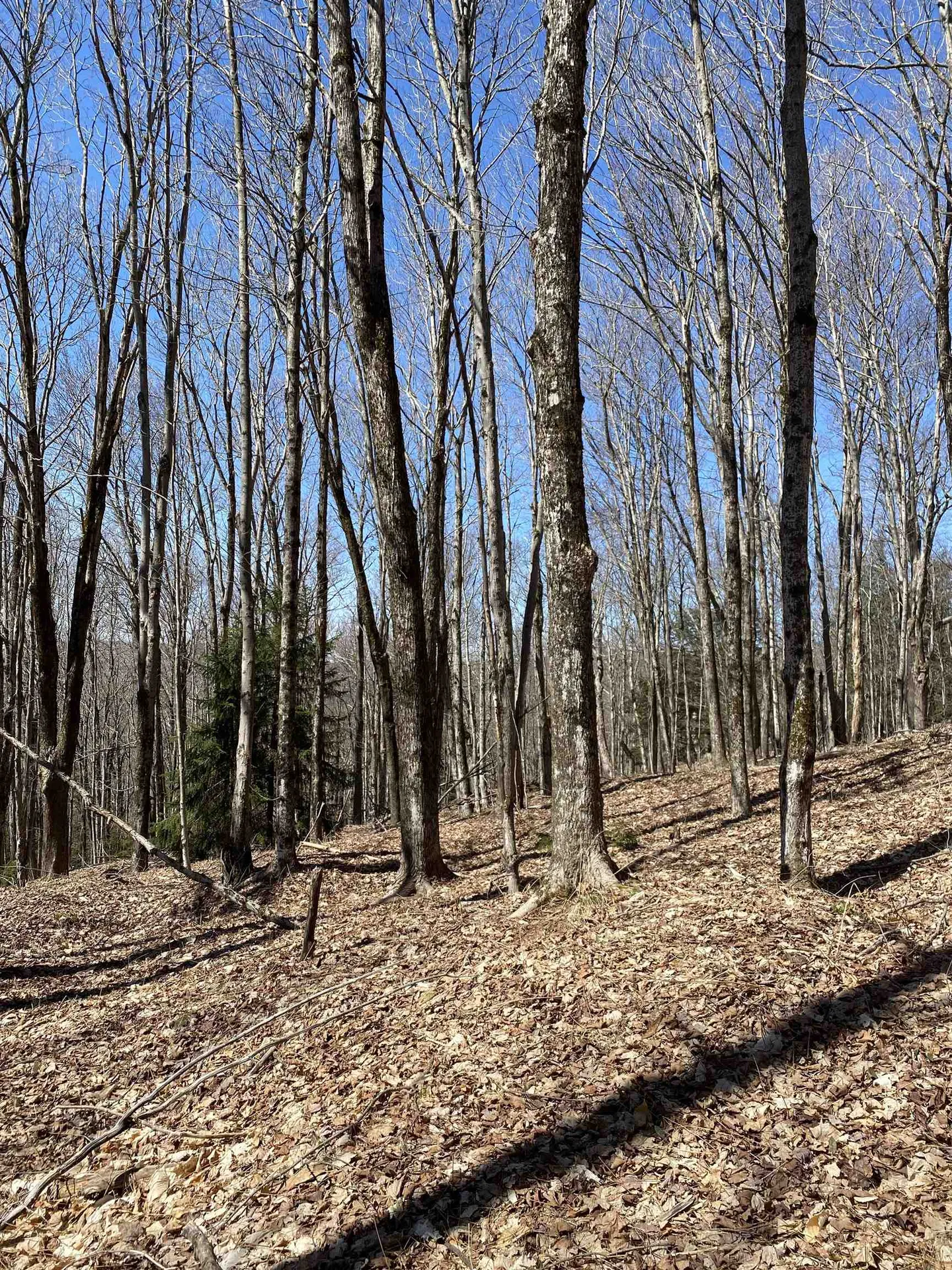 Lot 2 Mann Road Wilmington VT 05363