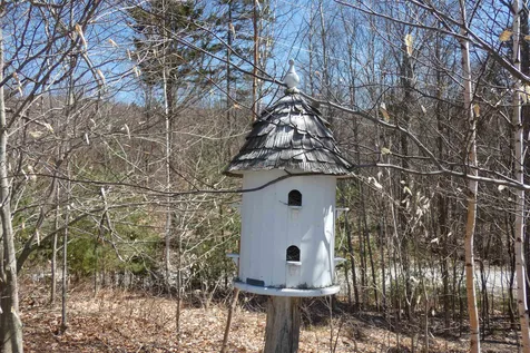 20 Windy Ridge Chittenden VT 05737