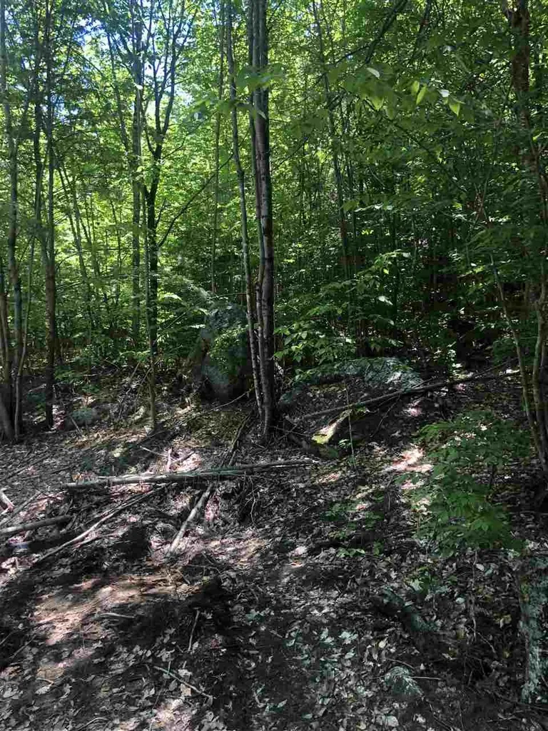 90 Browns Ridge Road Ossipee NH 03864