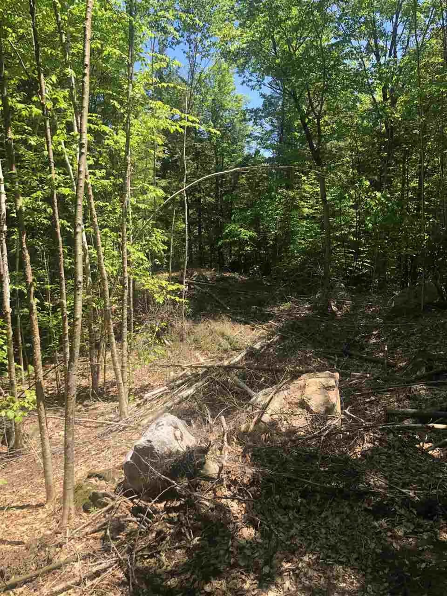 90 Browns Ridge Road Ossipee NH 03864