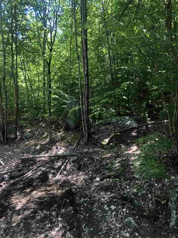 90 Browns Ridge Road Ossipee NH 03864
