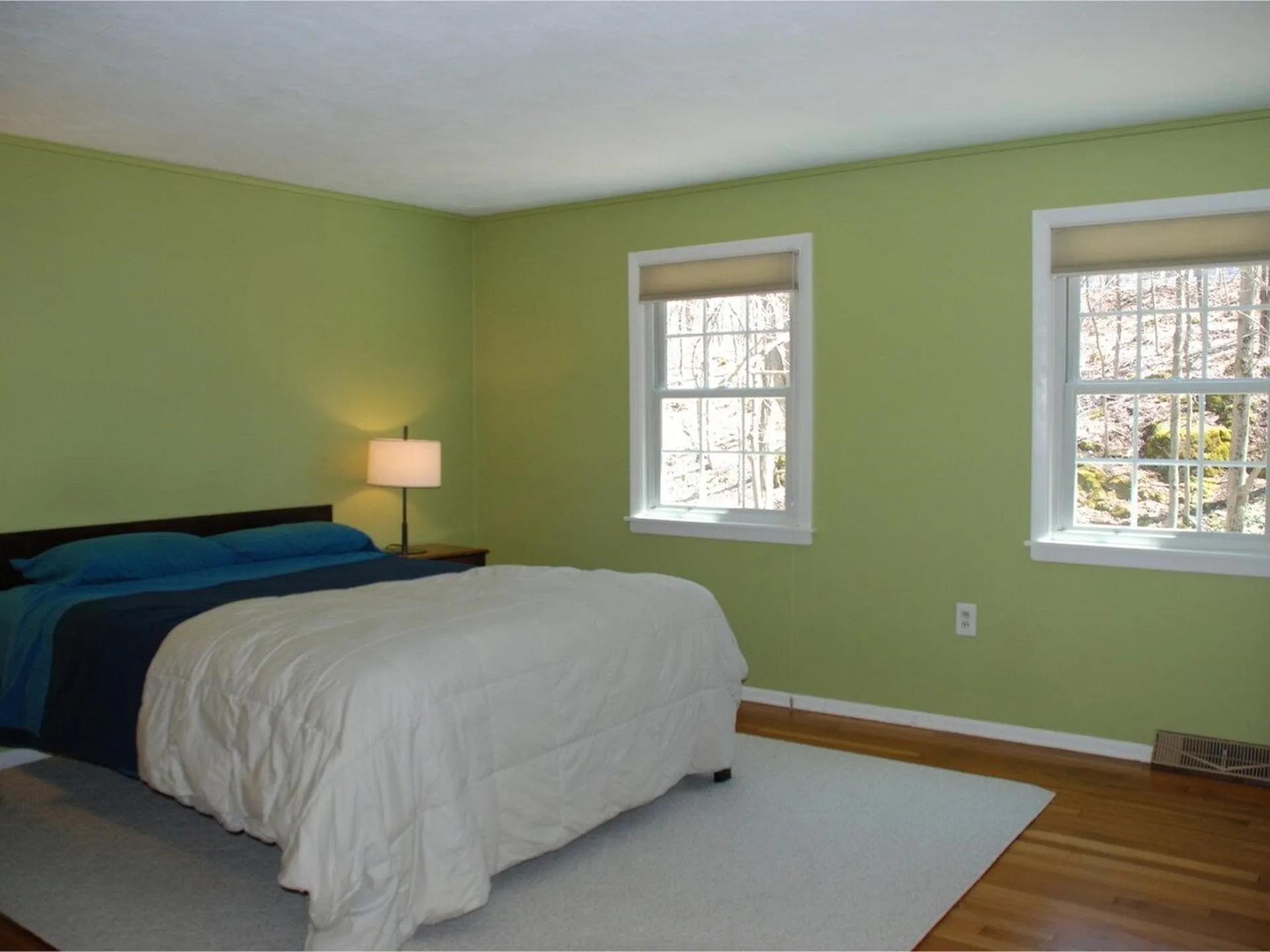 175 Pierson Drive Shelburne VT 05482