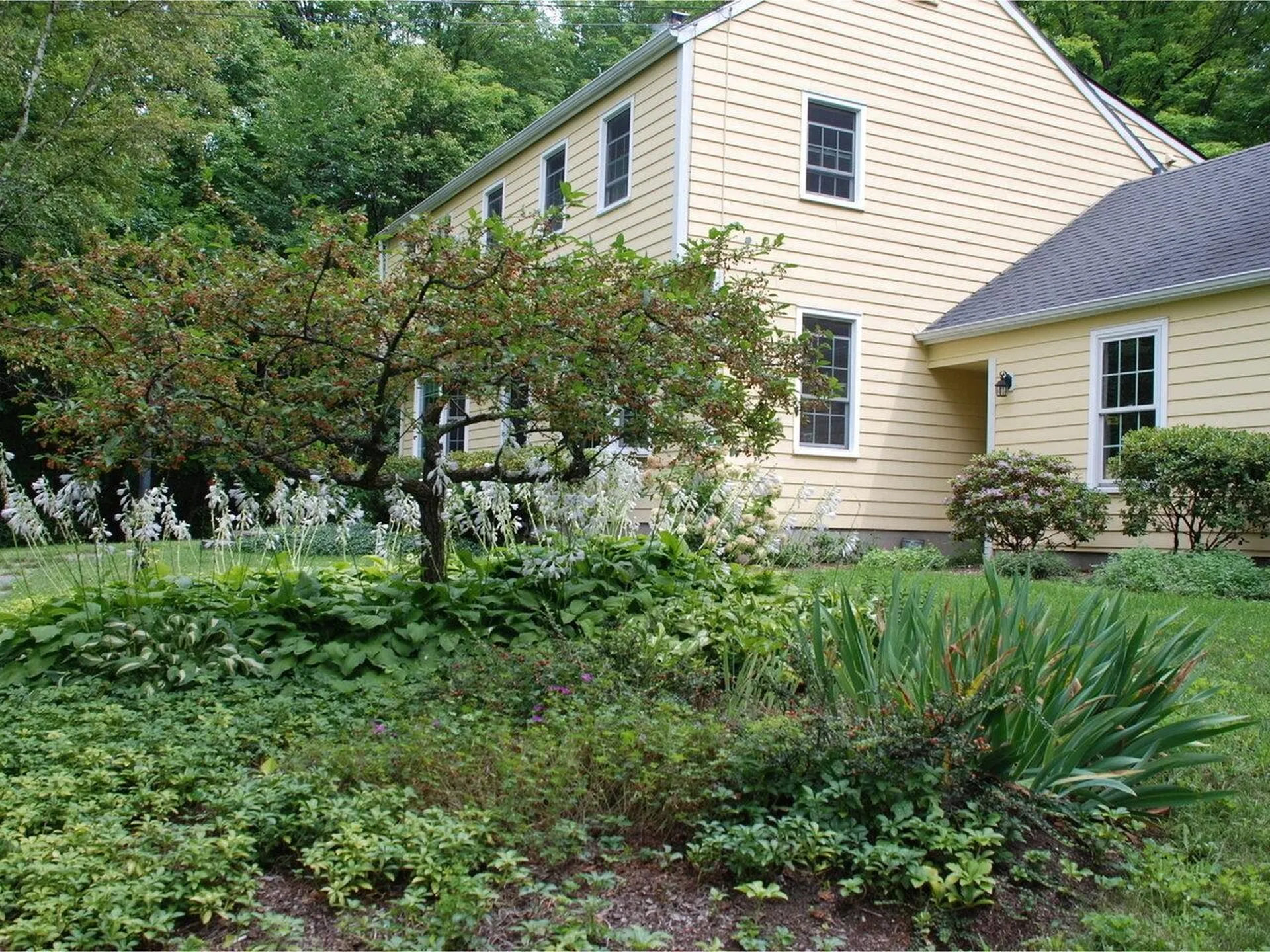 175 Pierson Drive Shelburne VT 05482