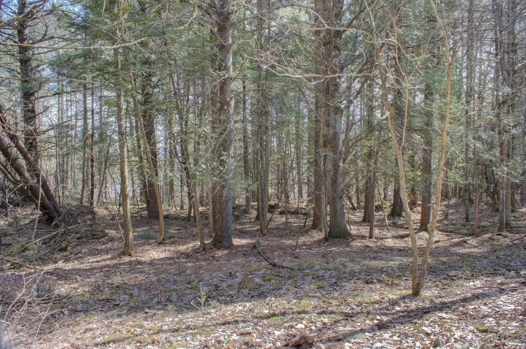 0 Colden Road Colchester VT 05446