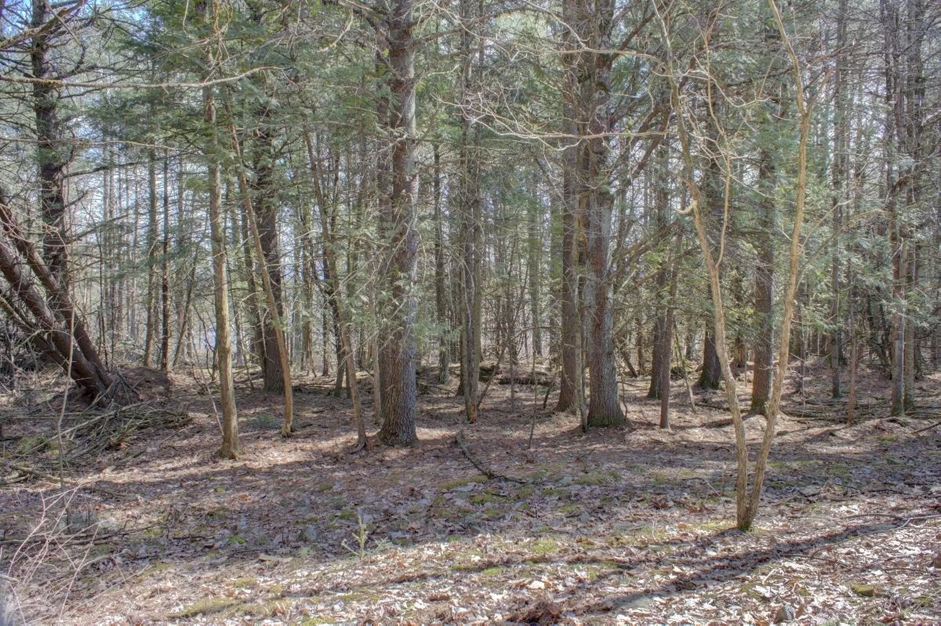 0 Colden Road Colchester VT 05446