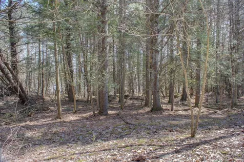 0 Colden Road Colchester VT 05446