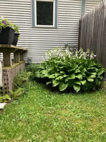 7 Stonegate Drive Middlebury VT 05753
