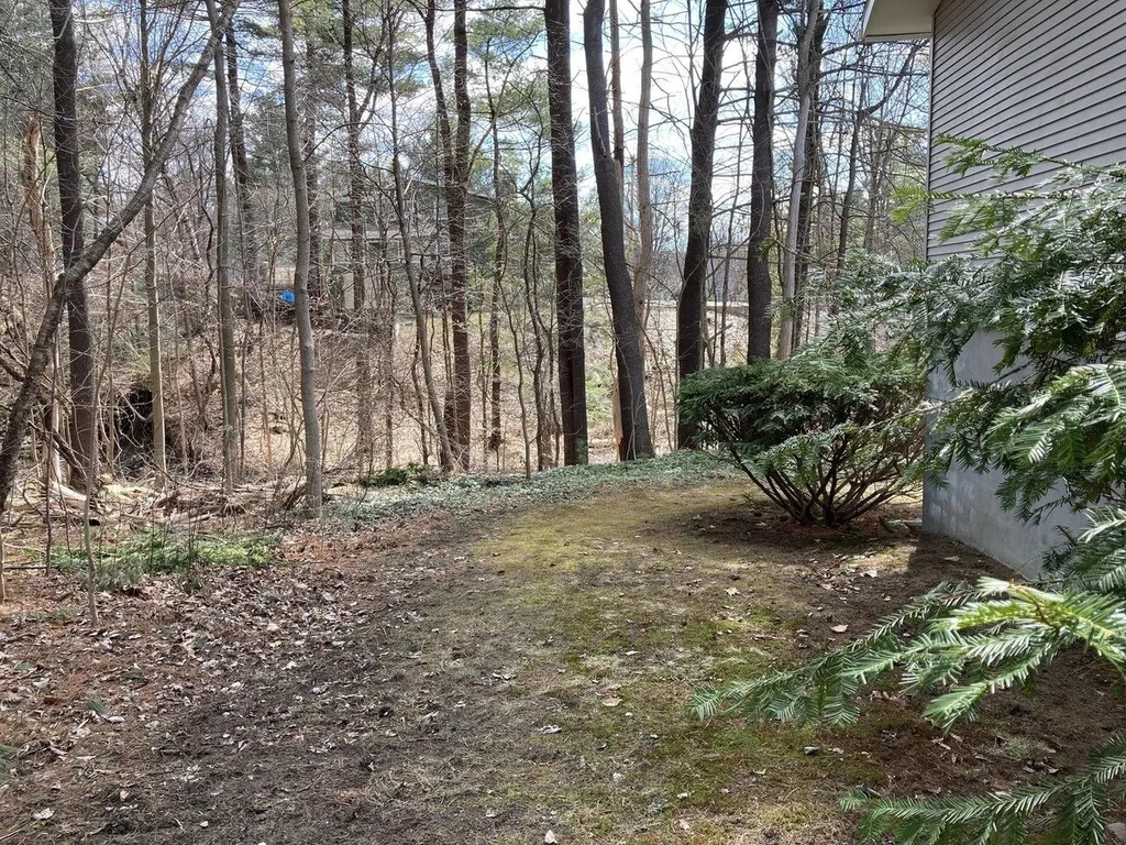 373 Woodbine Road Shelburne VT 05482
