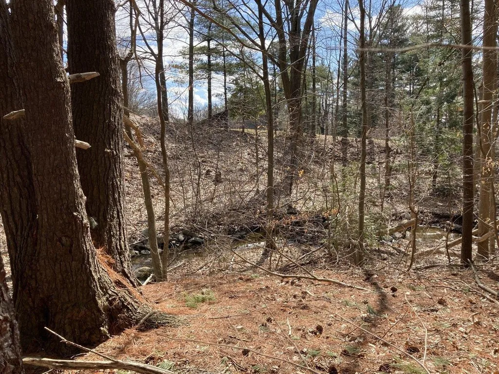 373 Woodbine Road Shelburne VT 05482