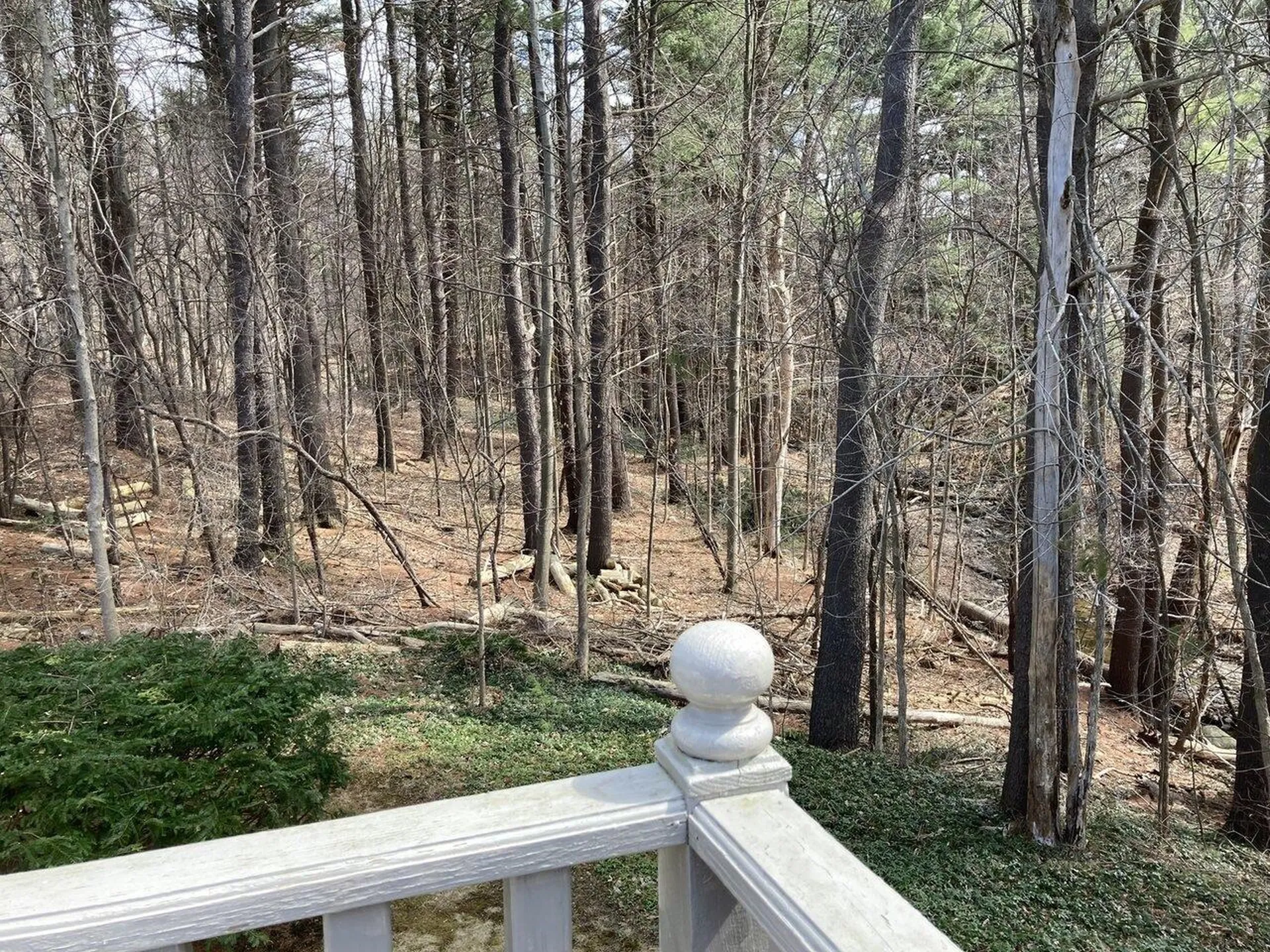 373 Woodbine Road Shelburne VT 05482