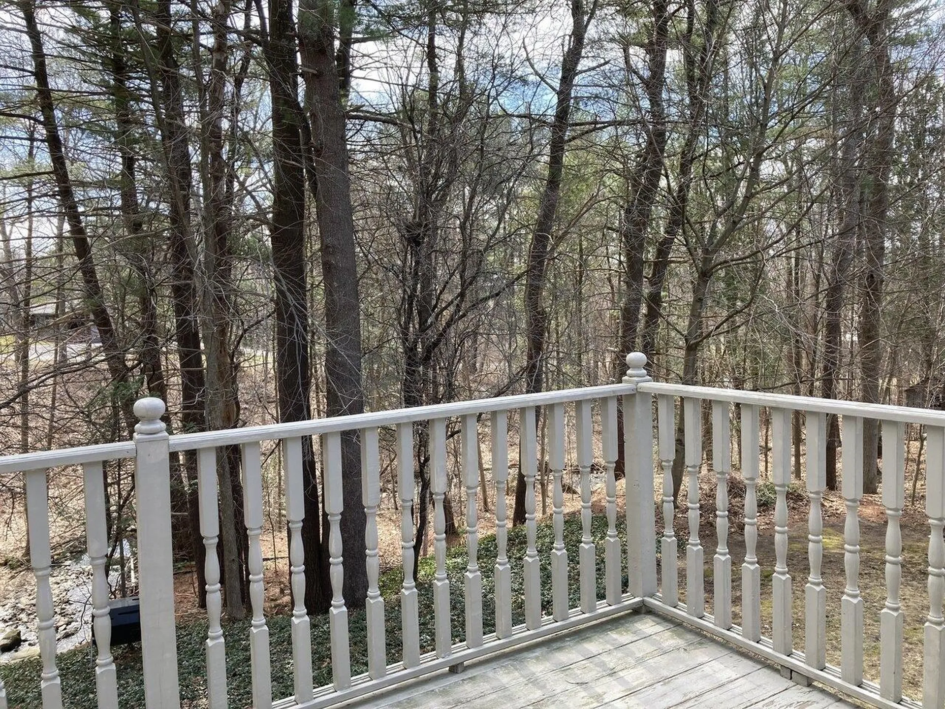 373 Woodbine Road Shelburne VT 05482