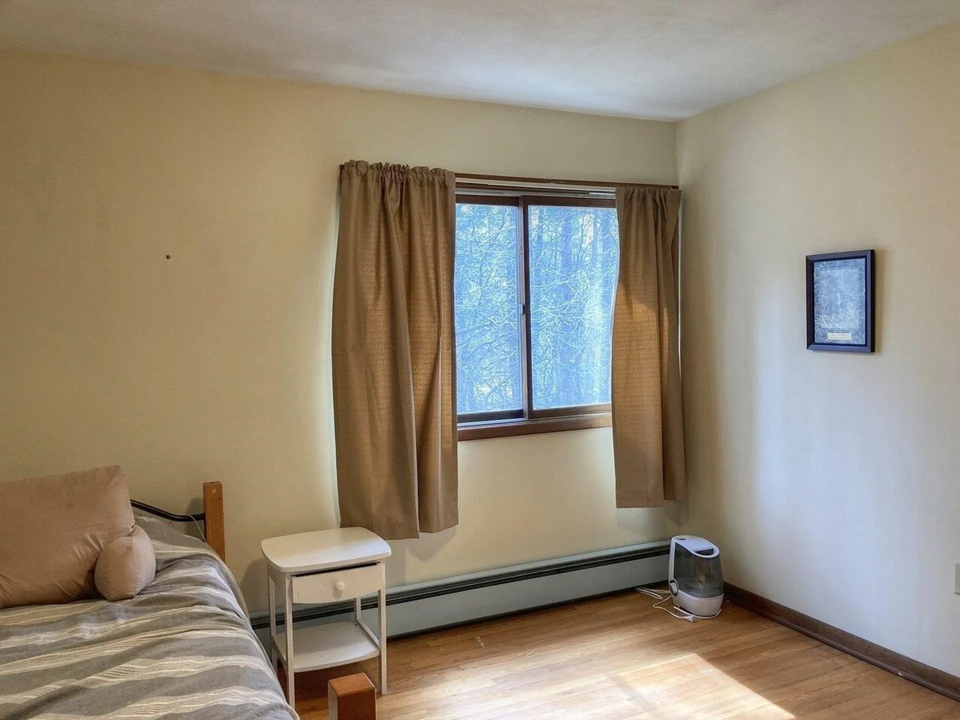 373 Woodbine Road Shelburne VT 05482