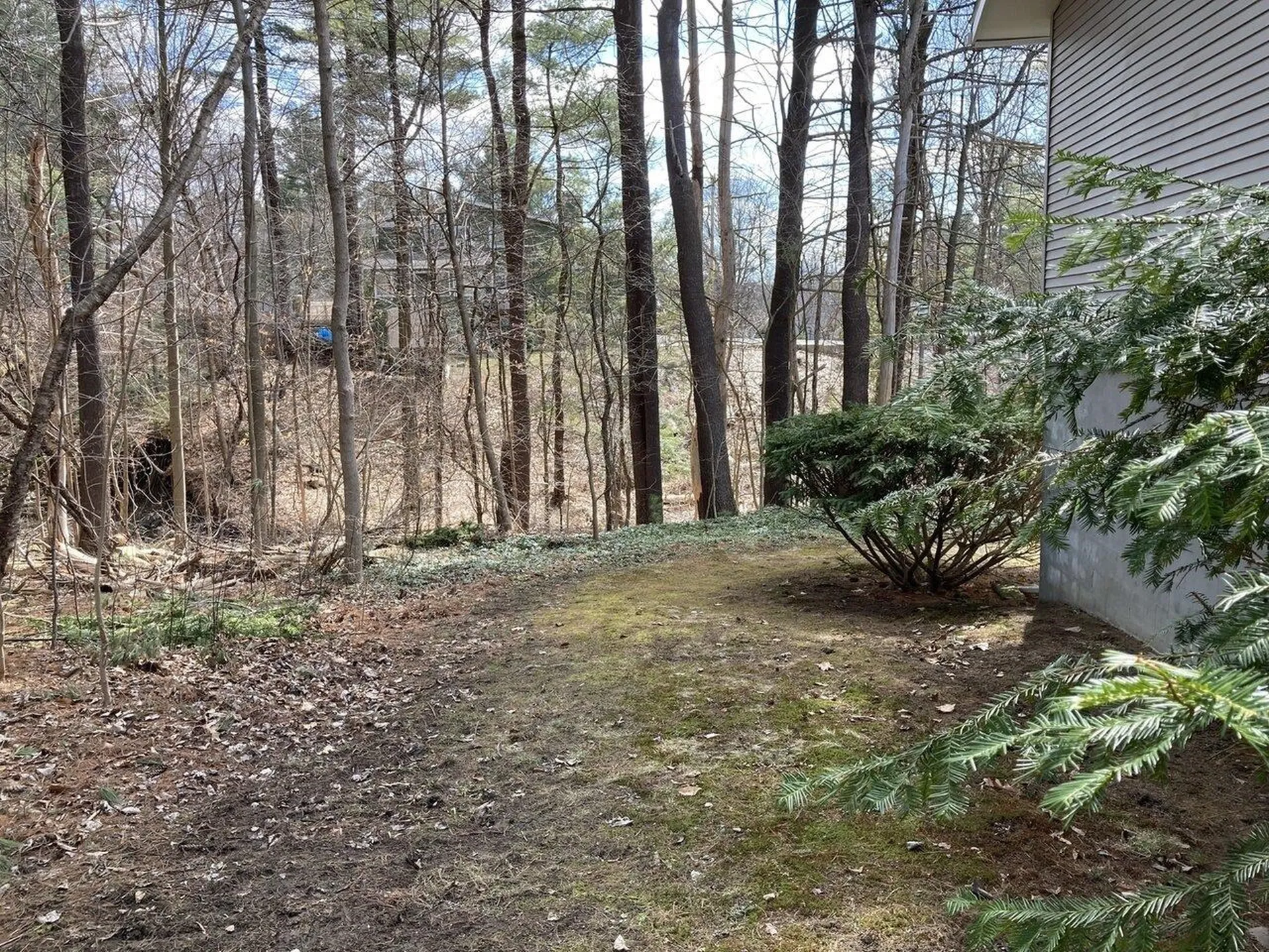 373 Woodbine Road Shelburne VT 05482