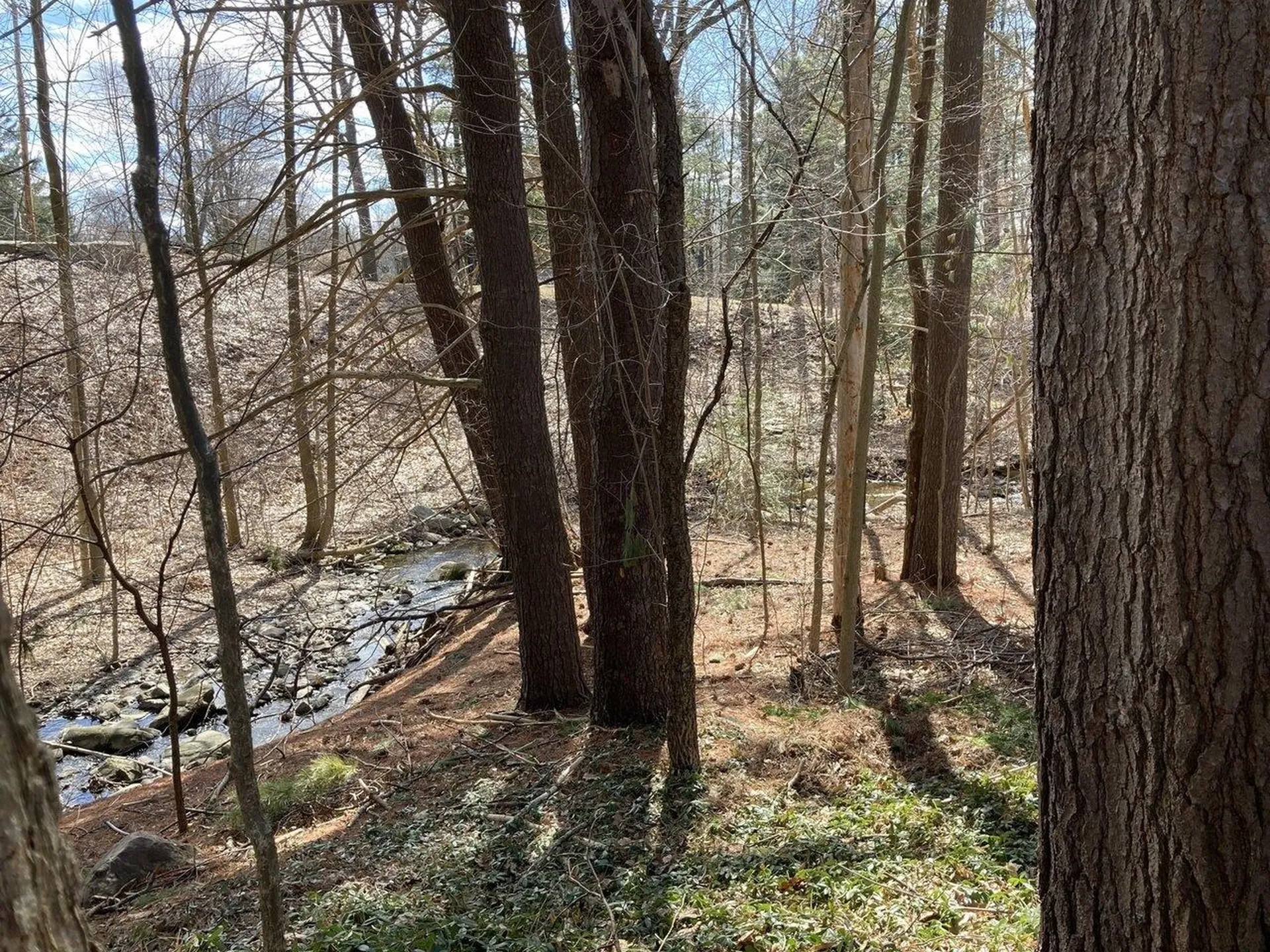373 Woodbine Road Shelburne VT 05482