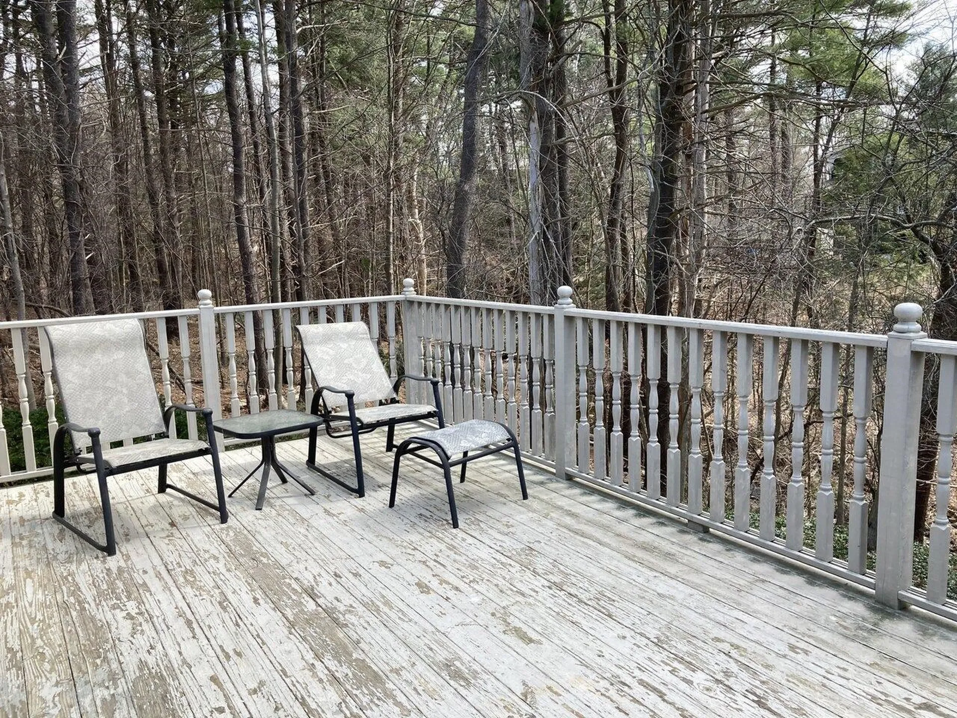 373 Woodbine Road Shelburne VT 05482