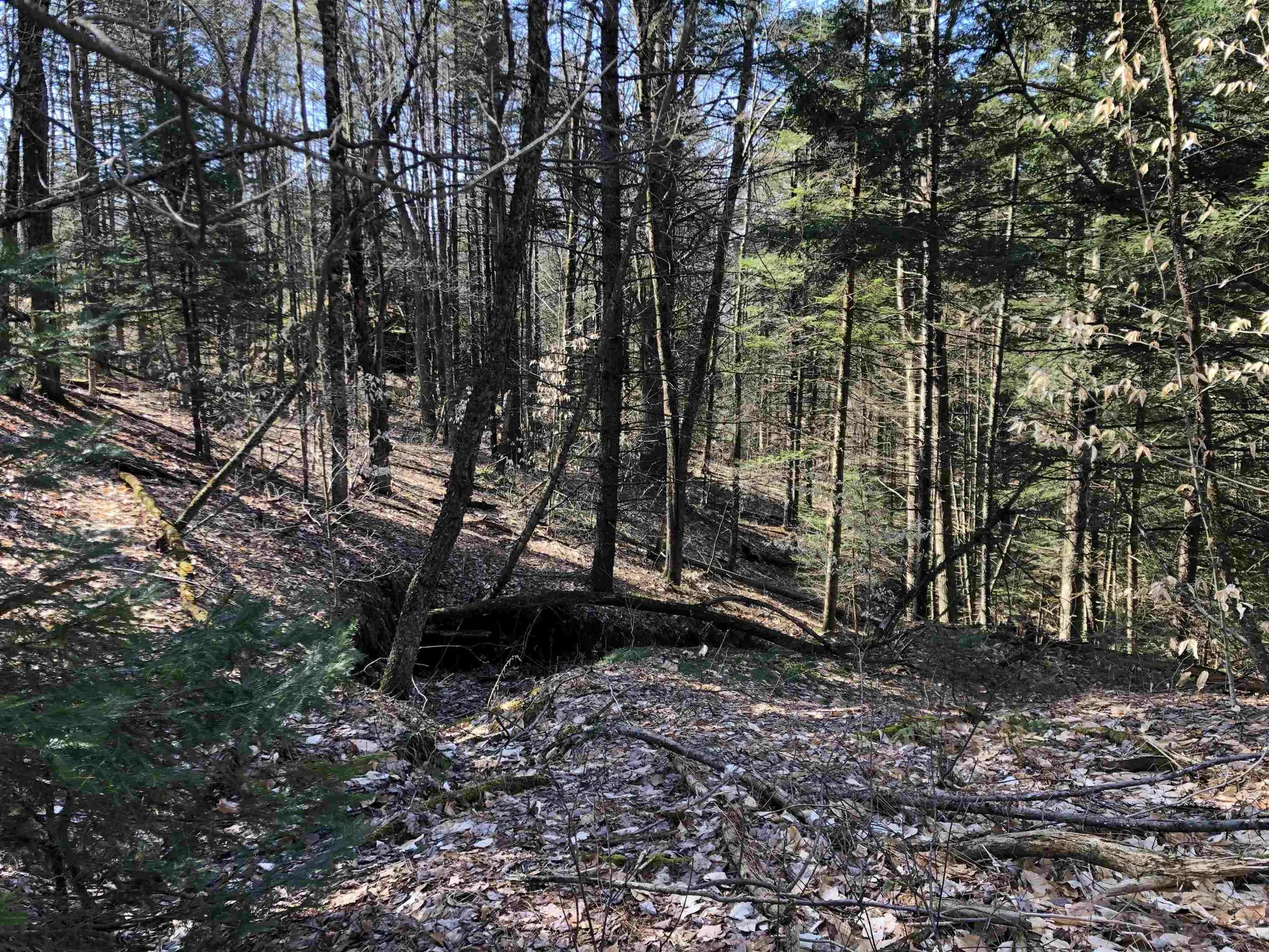 Tbd Florence Road Waterville VT 05492